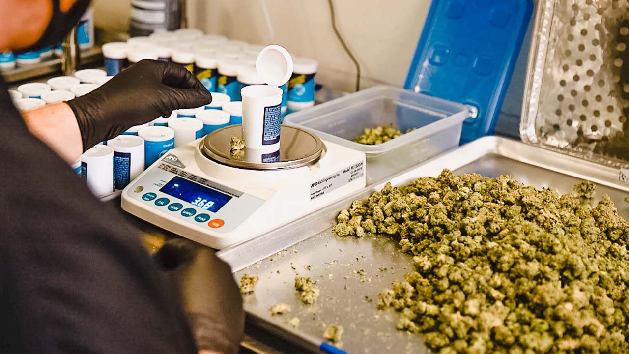 Lab testing, Marijuana experts offer strategies to maintain quality independent of lab testing