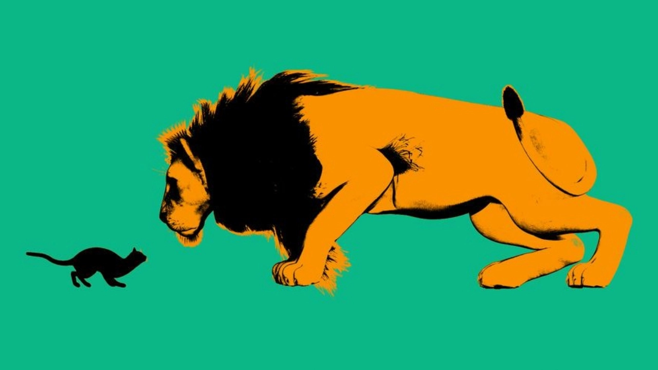 Image of a cat and a lion, depicting small vs. big businesses