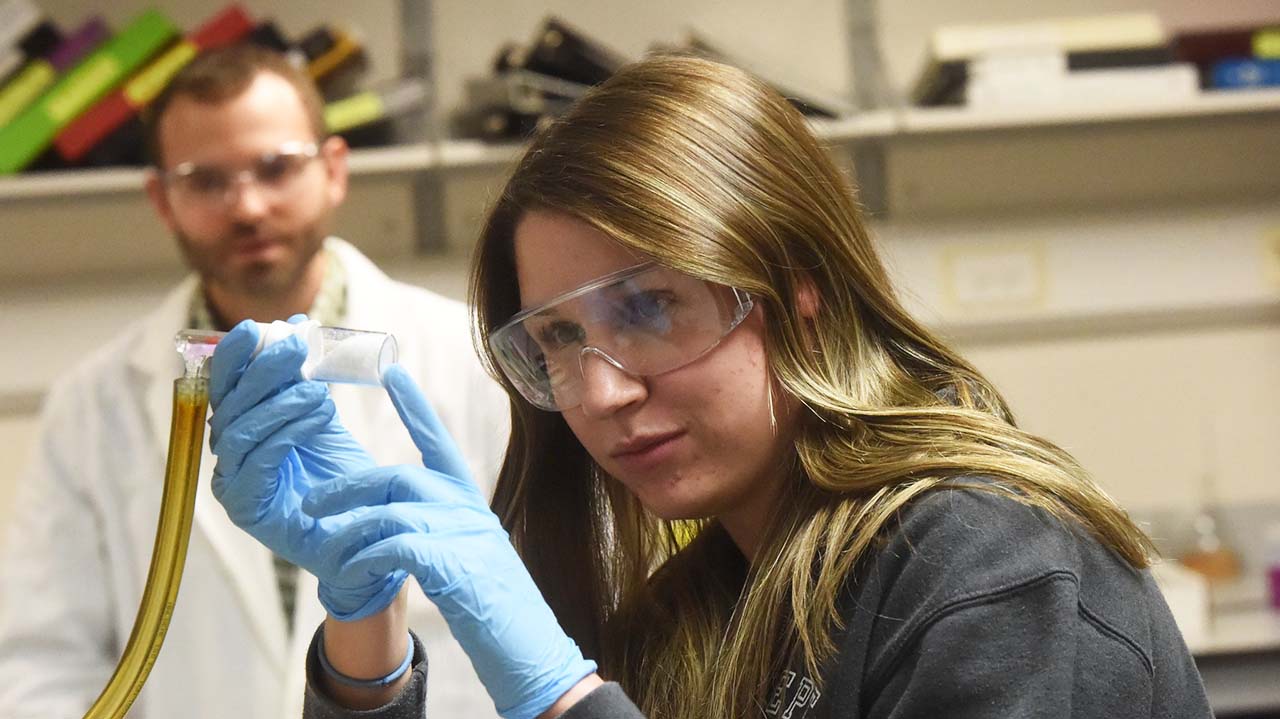 degree requirements cannabis industry hiring, Marijuana industry wrestles with academic requirements as programs tailored to industry flourish