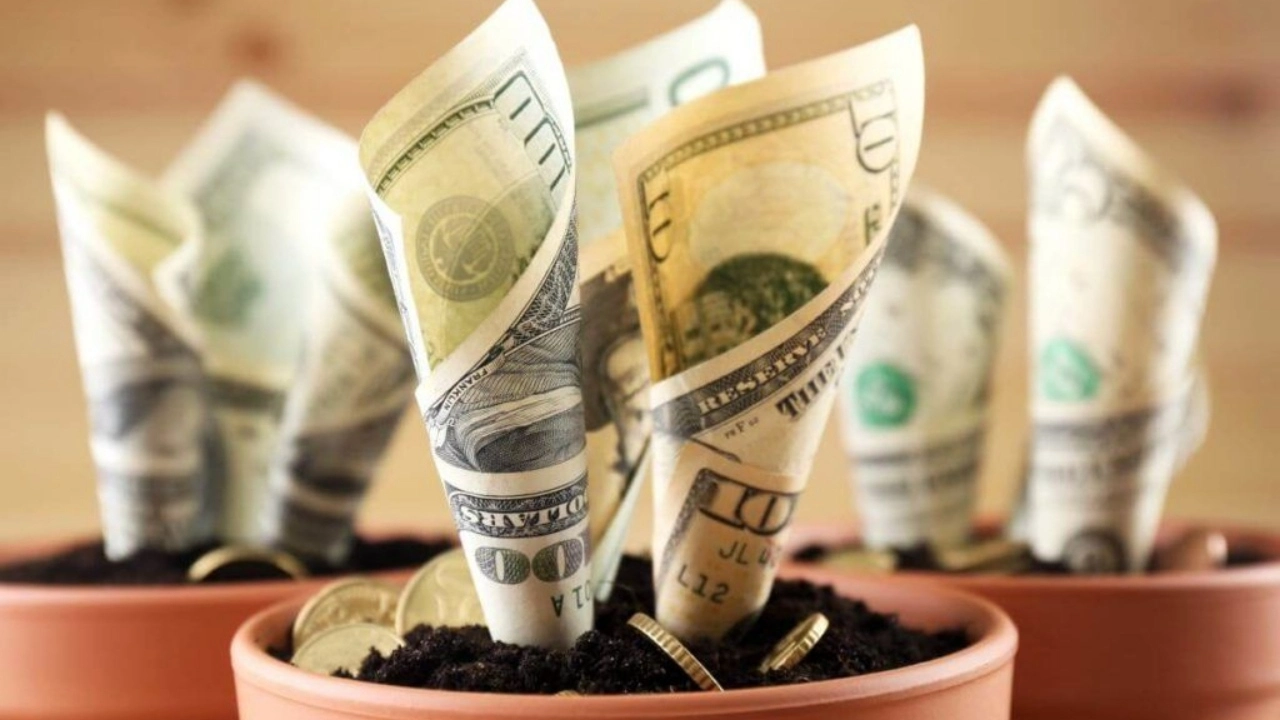 Image of bills growing out of a flower pot