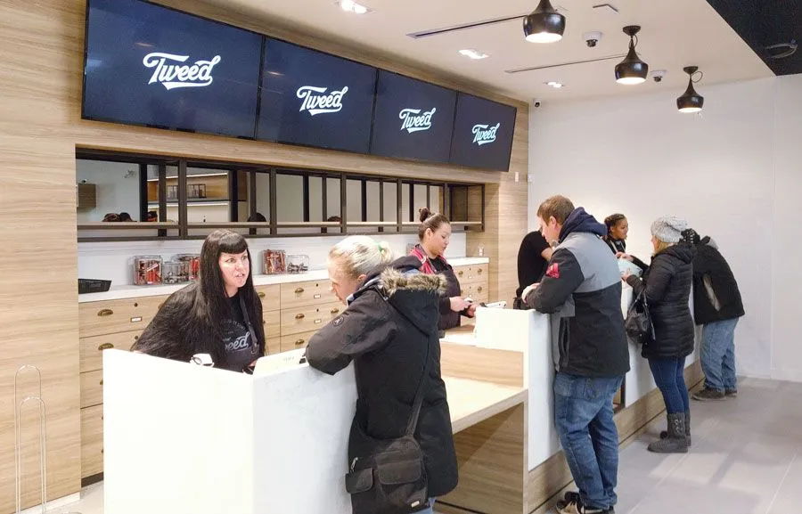 Image of the counter at a Tweed retail store
