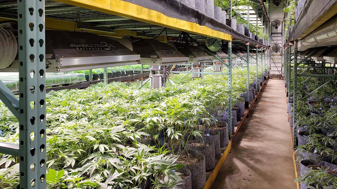 pricey and limited marijuana real estate, Cannabis companies seeking real estate face limited choices and premium prices