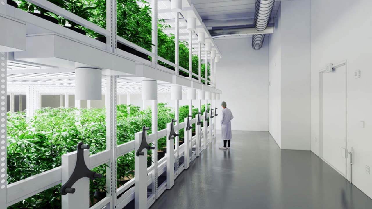 marijuana lending options, For plant-touching marijuana companies, most lending options tied to property
