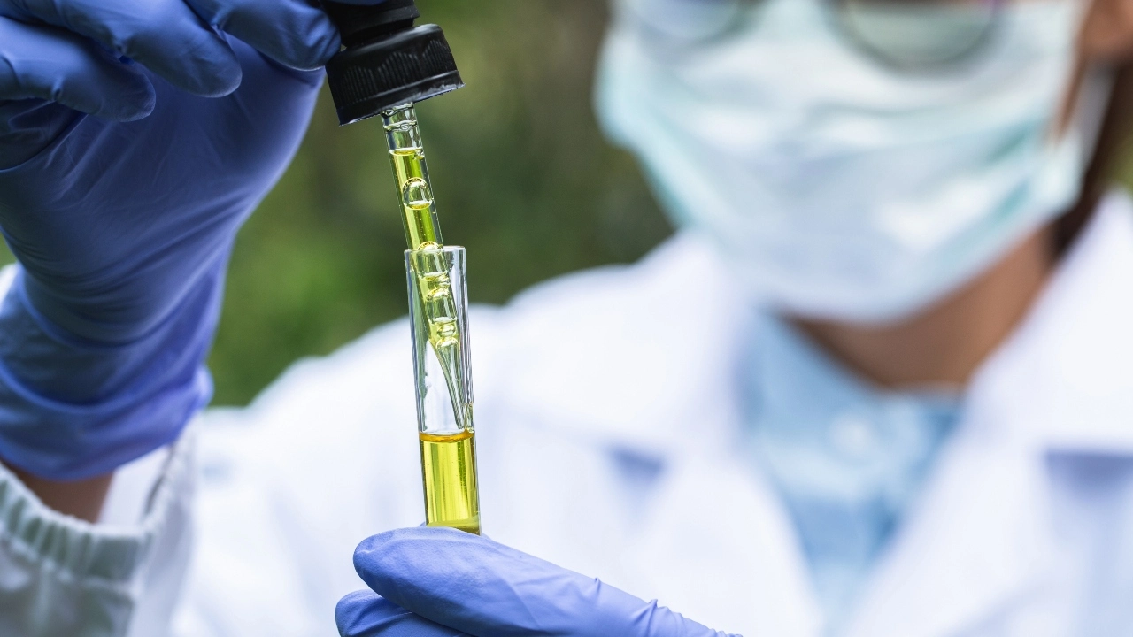 Image of a lab worker testing cannabis with a test tube and eye dropper.