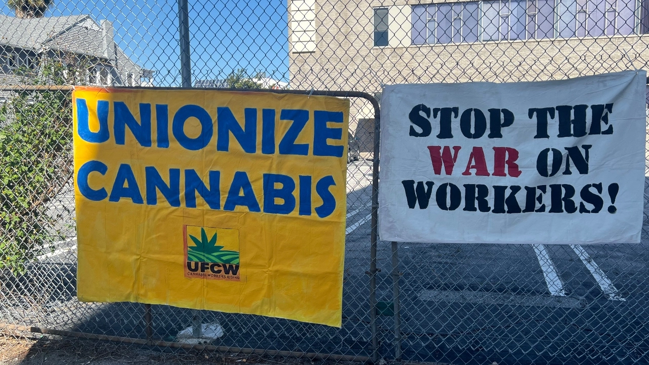 Image of union protest signs saying "Unionize Cannabis," by the UFCW, and "Stop the War on Workers"