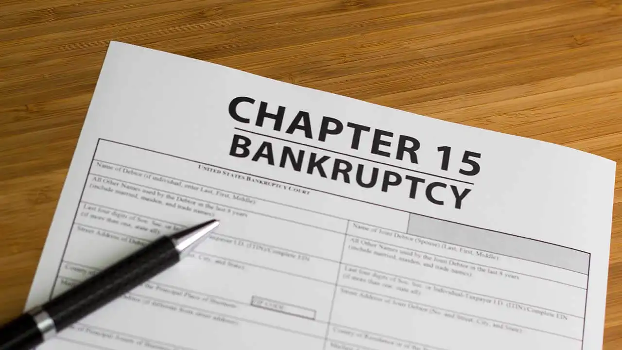 Image of Chapter 15 bankruptcy application