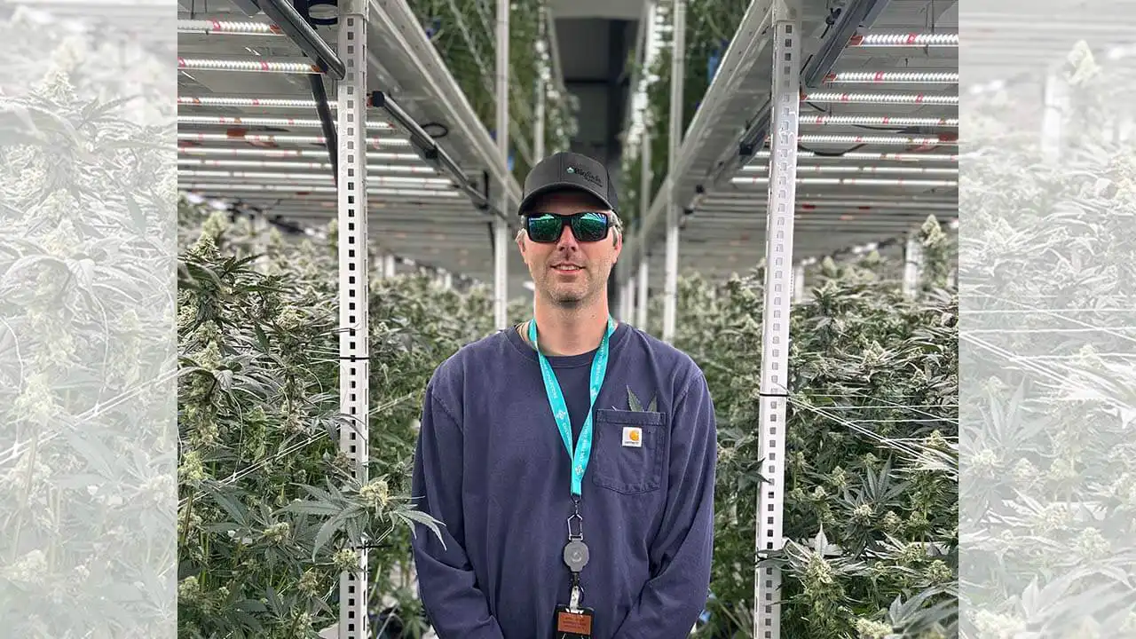 Image of Justin Sheffield