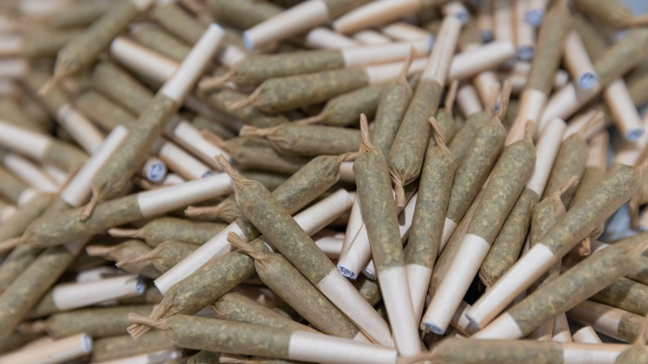 Image of marijuana pre-rolls